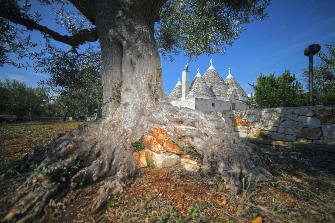 Trulli Foggia Dell'Albero Villa Polignano a Mare Exterior photo