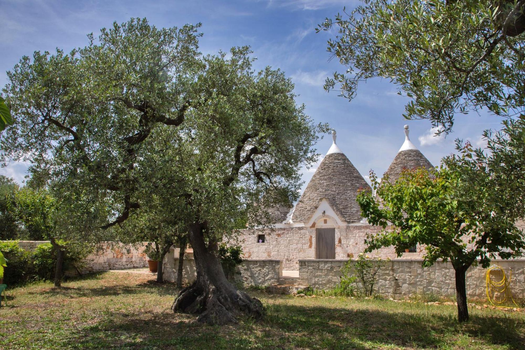Trulli Foggia Dell'Albero Villa Polignano a Mare Exterior photo