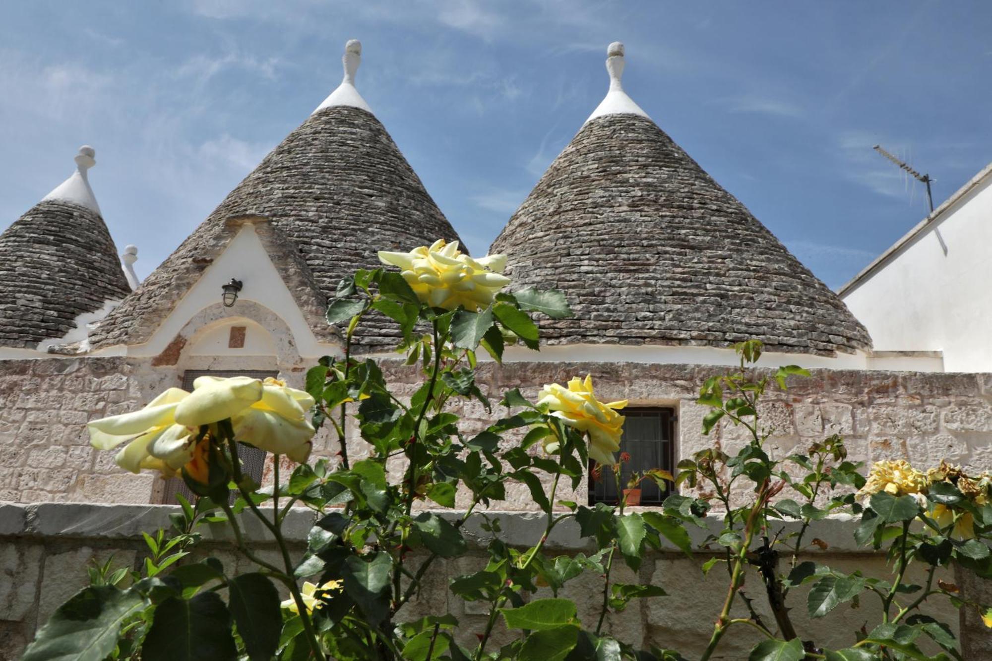Trulli Foggia Dell'Albero Villa Polignano a Mare Exterior photo